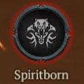 Build Spiritborn Build Service | Build maker | Builder Spiritborn Builder T1 - T4 Chose your Build