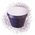 Spice infused Plastanium Dust*100