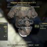 Vanguard's Weapon weight HELLCAT SET (FULL MODS, 5/5 FULL AP REFRESH) - image