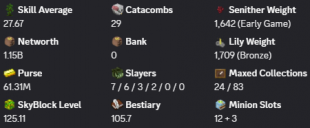 ✳️❗️ Solo-Coop | MVP+ | 125 SB lvl | 27 AVG | Cata 29 | 1.15b NW | Full accept | Hypixel SkyBlock ❗️ - image