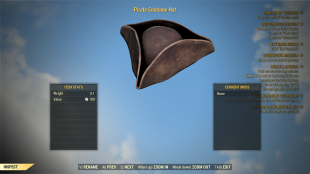 Pirate Costume & Hat 2in1 - image