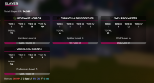 ☀️VIP | 74 SB LEVEL | 21 SA | 28 CATA | 1 HOTM | Slayers: 6/3/4/5 | 400M NW☀️ - image