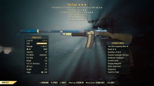 Two Shot The Fixer (+25% Weapon Speed, +50 Damage Resistance While Aiming) - image