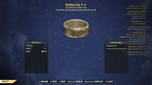 Wedding Ring (+5% Action Point Regen, Food, drink and chem weights reduced by 20%) - image