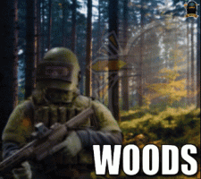 ✅ Woods Raid Carry All Loot your + Big bag [Self play] or quest raid - image