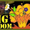 New! The Big Bloom: Any plans to choose from list!