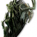 Oaksworn Sigil Crest Shield - Fast Delivery [Runes of Aldur]