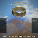 Wedding Ring (+5% Action Point Regen, Sentinel)
