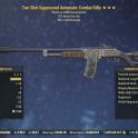 Two Shot Combat Rifle (25% faster fire rate, 90% reduced weight)
