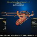 Anti-armor Flamer (25% faster fire rate/25% less AP cost)