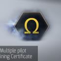 Multiple pilot training Certificate from RPGcash team