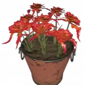 [PS] Pot o' carnal weeper Plan