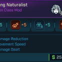 ✦Naturalist [5 Vorpal Fiends, 5 Keen Fiends, 5 Blight Attunement, 5 Necrosis] (Vex class mod)
