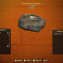 [XBOX] Shieded Road Leathers Underarmor