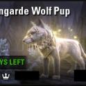 [NA - PC] sovngarde wolf pup (1000 crowns) // Fast delivery!