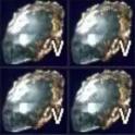 Uncut Support Gem Level 5 - Fast Delivery