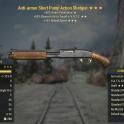 Pump Action Shotgun AA/50Chance/15R [Fast delivery if I'm online]