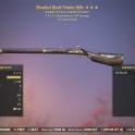 Bloodied Black Powder Rifle (+50% critical damage, 15% faster reload)