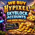 INSTANT OFFER — SKYBLOCK ACCOUNTS — QIUCK SALE