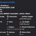 MVP+ / 9.5B NW / 31 CATA / 15 GARDEN / 156 LVL SB / 37 SA / 5 HOTM / 440M PURSE / GOOD SLAYERS / MAI