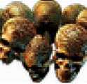 Headhunter Leather B
elt Clean Non-Corrup
ted [PC] Crucible St
andard