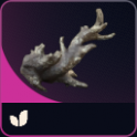 Fossilized Lightning