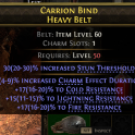 Level 50 Belt INCREASED STUN THRESHOLD/COLD /LIGHTNING /FIRE/RESISTANCE   （12.15JT-5 6