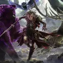Build Companion Monkey Spirit Walker  [All Endgame Content] Forbidden Rites