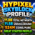 FLASH SALE⚡SKYBLOCK PROFILE ⚡ 11.1 BILLION UNSOULBOUND ⚡11.8 BILLION TOTAL ⚡520M PURE COINS