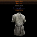 Tabula Rasa Garment Non Corrupted Dawn of the Hunt Standard