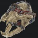 Plan Bear Arm + Mods 3in1