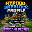 ⚡SKYBLOCK PROFILE ⚡ 26 BILLION UNSOULBOUND ⚡40 BILLION TOTAL ⚡ENDGAME PROFILE