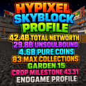 ⚡SKYBLOCK PROFILE ⚡ 29.8 BILLION UNSOULBOUND ⚡42.3 BILLION TOTAL ⚡4.6 PURE COINS