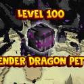 [LVL 100] Legendary ENDER DRAGON | No Tier Boost | No Candy [Fast delivery, Cheap prices]