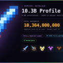 ⭐ AMAZING 10.36B Skyblock Profile ⭐ Hyperion Full Scrolled ⭐Armor for every skill ⭐Garden LVL 14