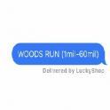WOODS RUN ✅(1mil-60mil) | Carry | Raid