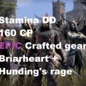 [NA - PC] Epic Crafted Gear + legendary weapons - Stamina DD - 160 CP Briarheart + Hunding’s Rage
