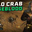 [POE 3.29 Uber endga
me] Hierophant Crab 
Totem Freezing Pulse
 Build - Curse of th
e Allflame Softcore