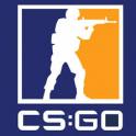 21 Medals / Faceit / 6,838+ CS2 Hours / 41 Games / Steam Level 35