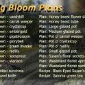 The Big Bloom Plans 26in1 bundle