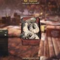 Improved Bait / Bait-Improved[Fishing] x1000