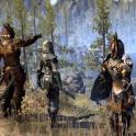 Guilds and Glory: The 4-DLC Mega-Pack