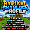 ⚡SKYBLOCK PROFILE ⚡ 16.910 BILLION UNSOULBOUND ⚡27.530 BILLION TOTAL ⚡3.301B PURE COINS