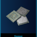 Processor