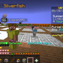 8.04B Pure Coins | 16 Minion Slots | Garden 10