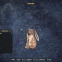 Bunnabun [Collector item][Display item]