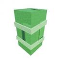 100x Bamboo Seed