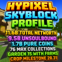 5% OFF⚡SKYBLOCK PROFILE ⚡ 9.5 BILLION UNSOULBOUND ⚡11.6 BILLION TOTAL ⚡1.7B PURE COINS