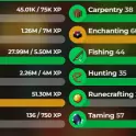 Hypixel Skyblock account WITH 10.5B networth And Skills avg 48!
