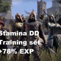 [PC-Europe] 78% XP Boost - Full Epic Training Gear - Stamina DD